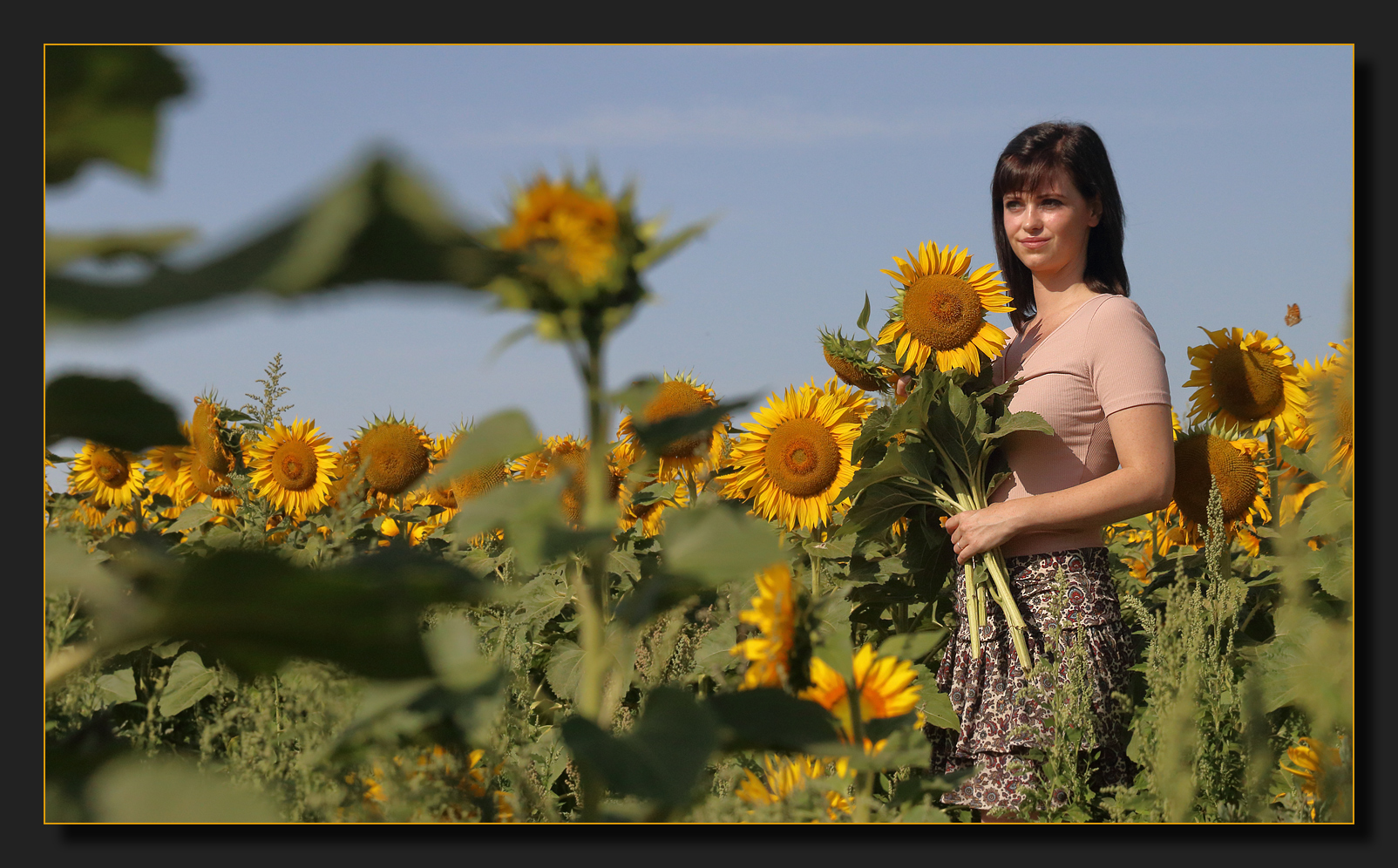 Jenny's sun flowers