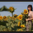 Jenny's sun flowers