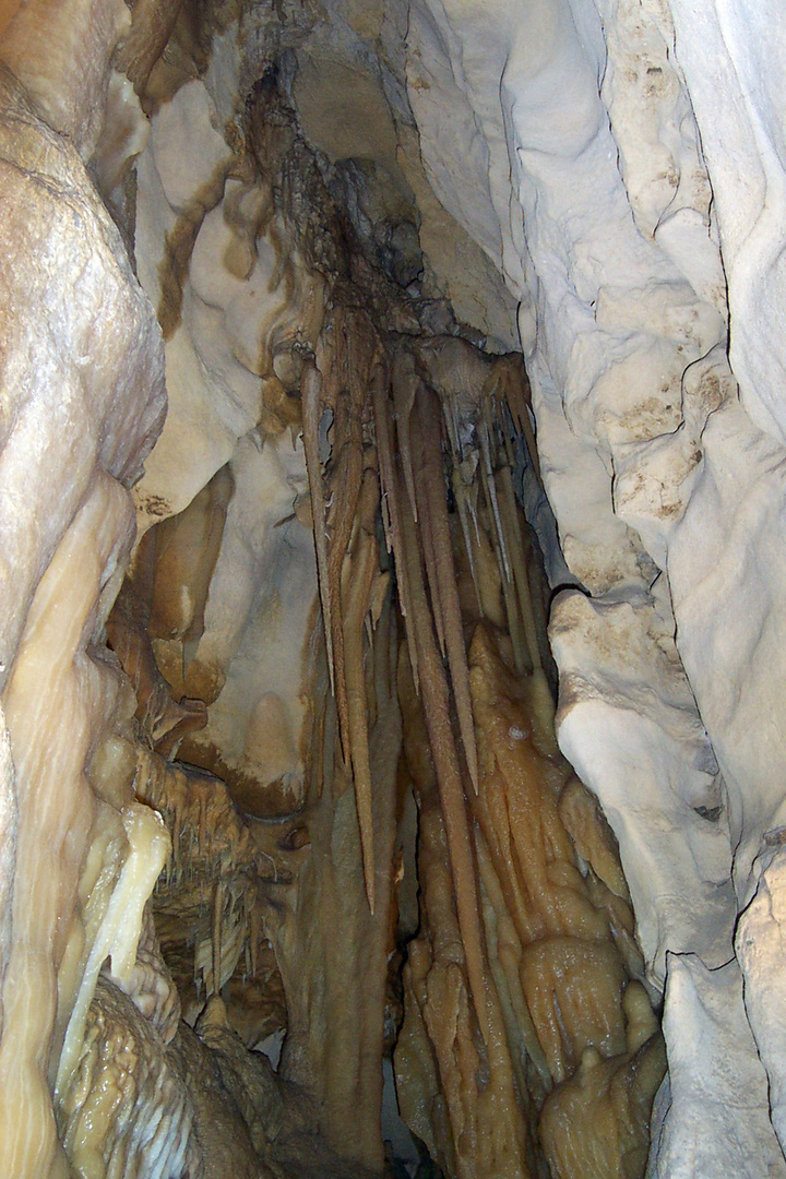 Jenolan Caves