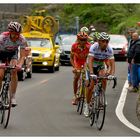 Jens Voigt & Paolo Bettini / Giro '08 / 14.Etappe