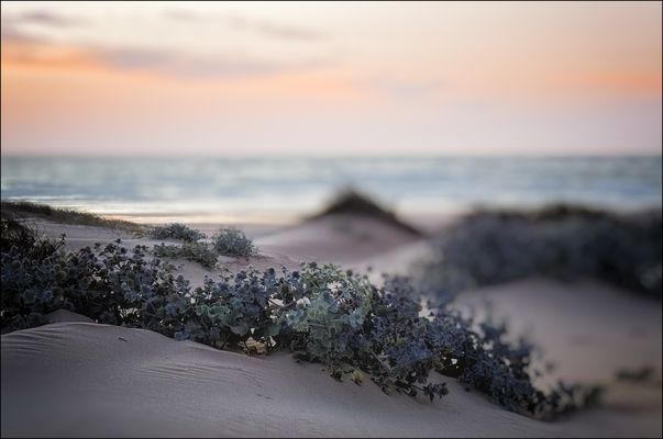 Jenseits des Horizonts