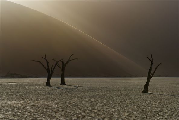 Jenseits von Afrika [11] - Lonesome Dancer