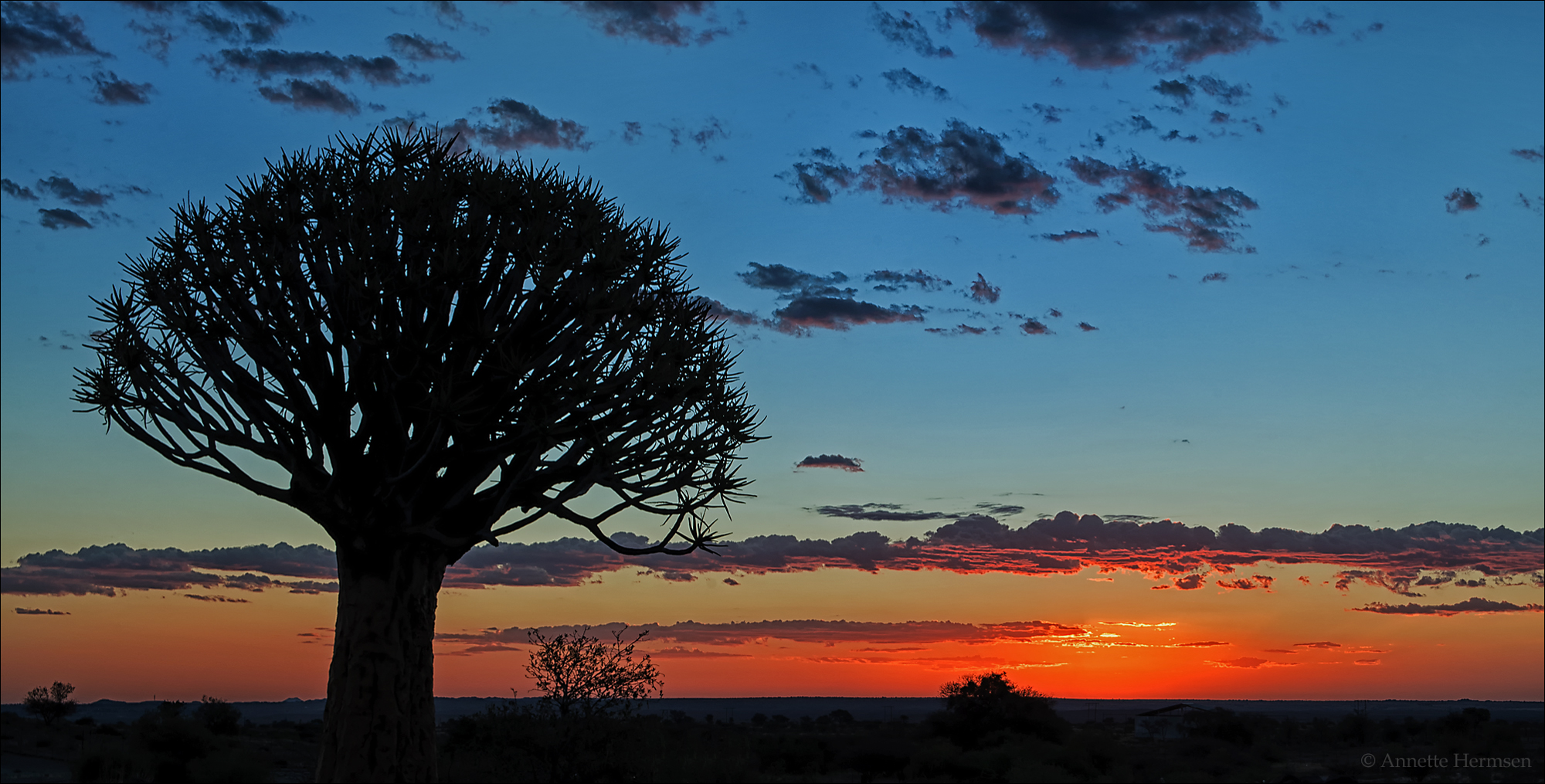 Jenseits von Afrika [13] - Sunset in Quiver Tree Forest