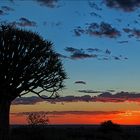 Jenseits von Afrika [13] - Sunset in Quiver Tree Forest