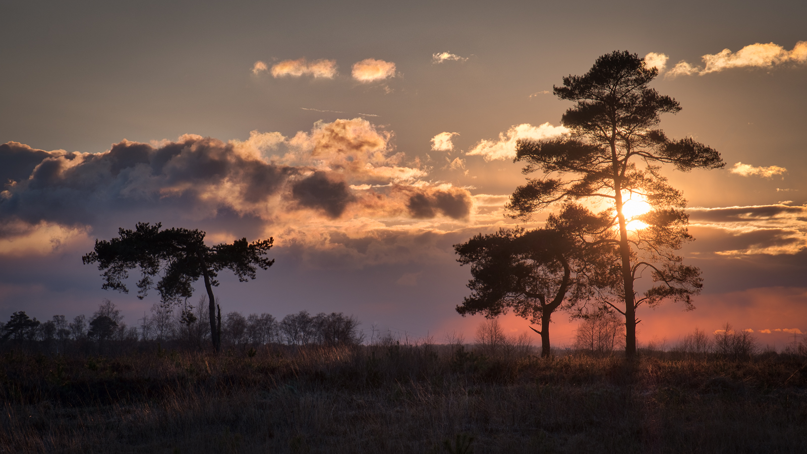 Jenseits Von Afrika 2 Foto Bild Sonnenuntergang Sonne Licht Bilder Auf Fotocommunity