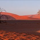Jenseits von Afrika [26] - Morgens in der Namib