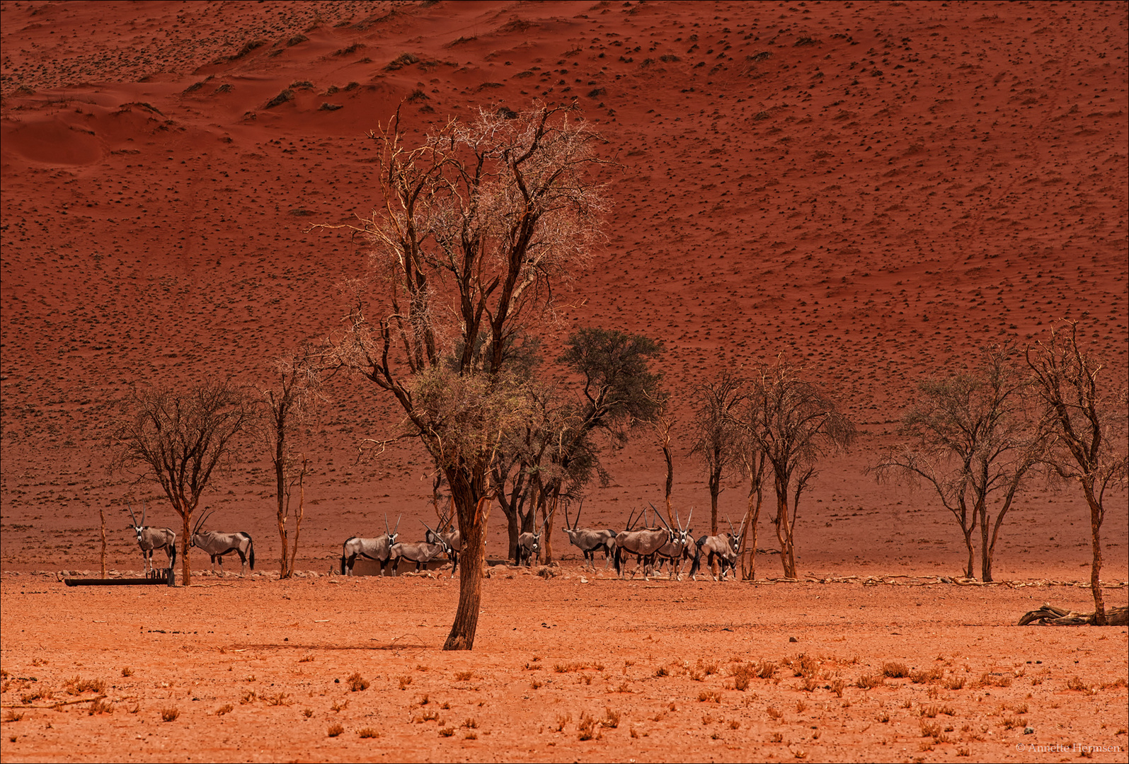 Jenseits von Afrika [35] - Am Wasserloch