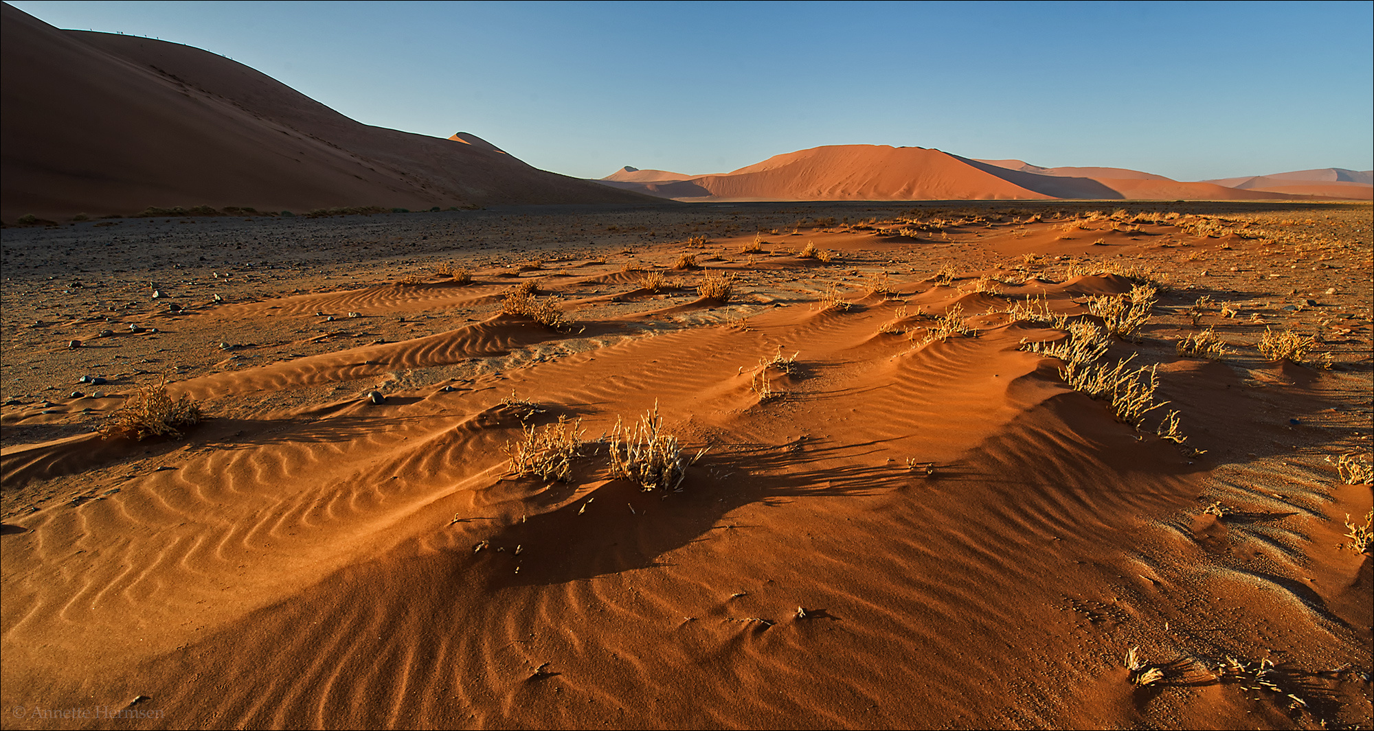 Jenseits von Afrika [44] - Die Farben der Namib