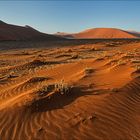 Jenseits von Afrika [44] - Die Farben der Namib