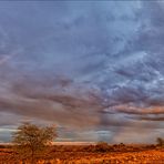 Jenseits von Afrika [50] - Regenbogen