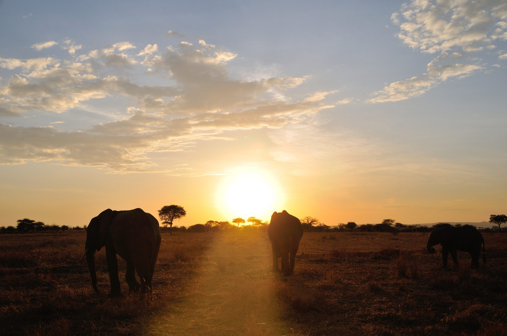 Jenseits von Afrika