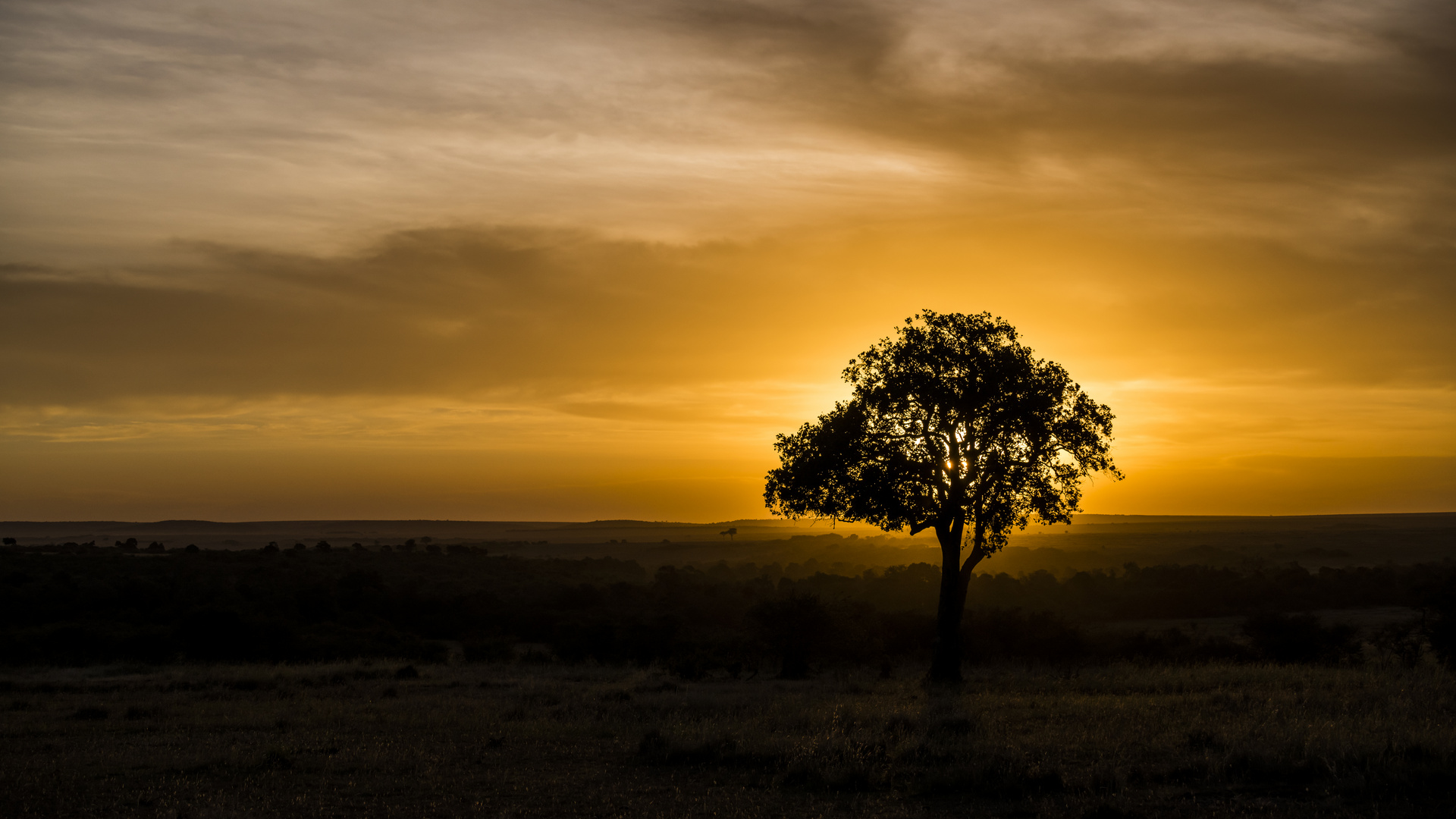 Jenseits von Afrika