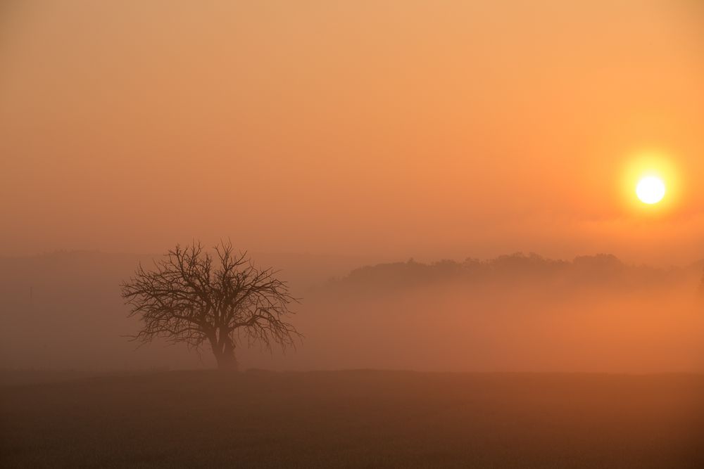 Jenseits von Afrika..:)