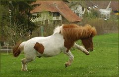 Jep, der Frühling ist da!