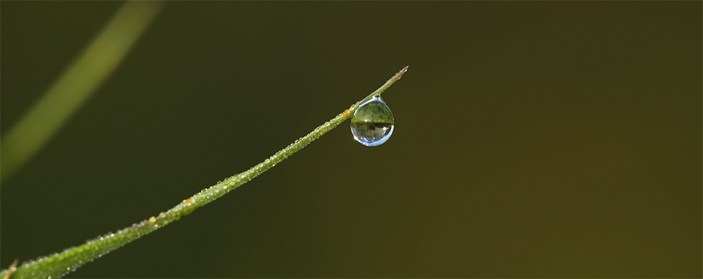 Jerder Regen...