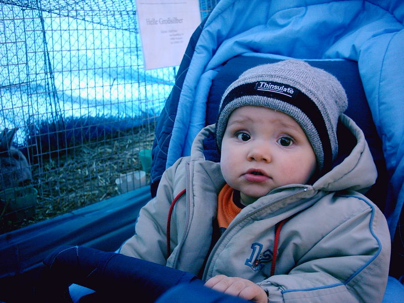 Jeremy's erster Spaziergang im Zoo