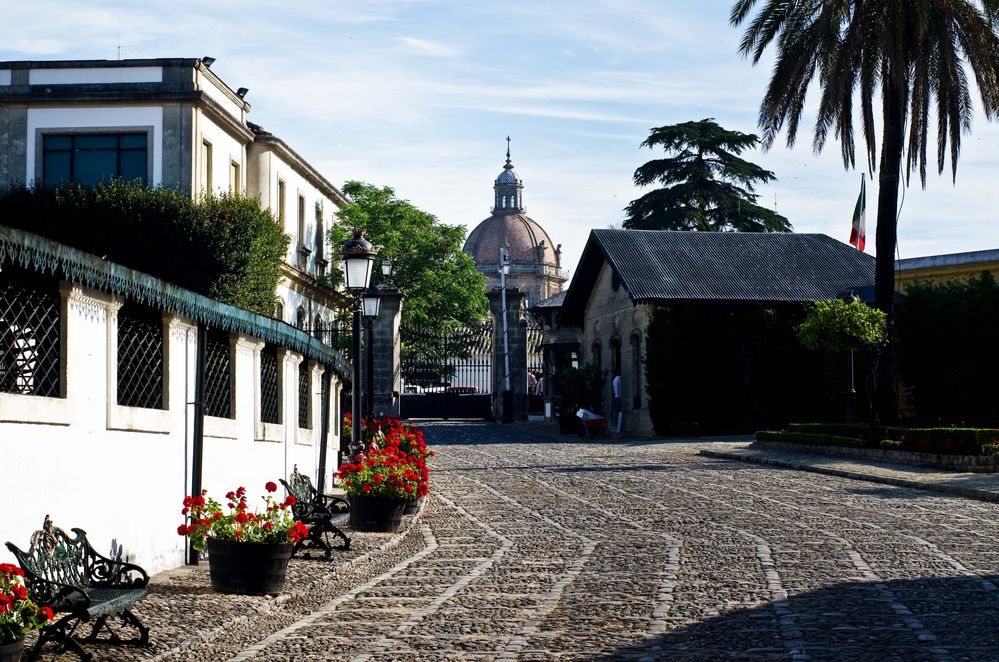 Jerez, Andalusien (Portfolio)