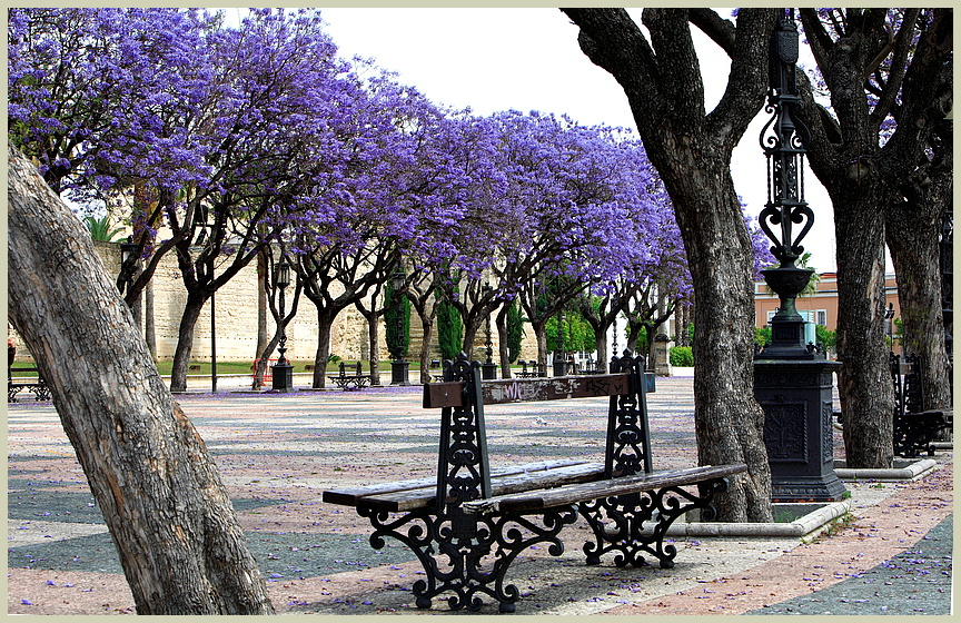 JEREZ DE LA FRONTEIRA _ PARK