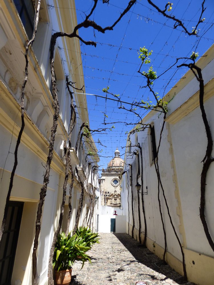 Jerez de la Frontera, Bodega González Byass