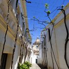 Jerez de la Frontera, Bodega González Byass