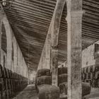 Jerez de la Frontera, Bodegas Lustau_3073