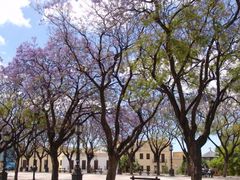 Jerez de la Frontera in der Blüte