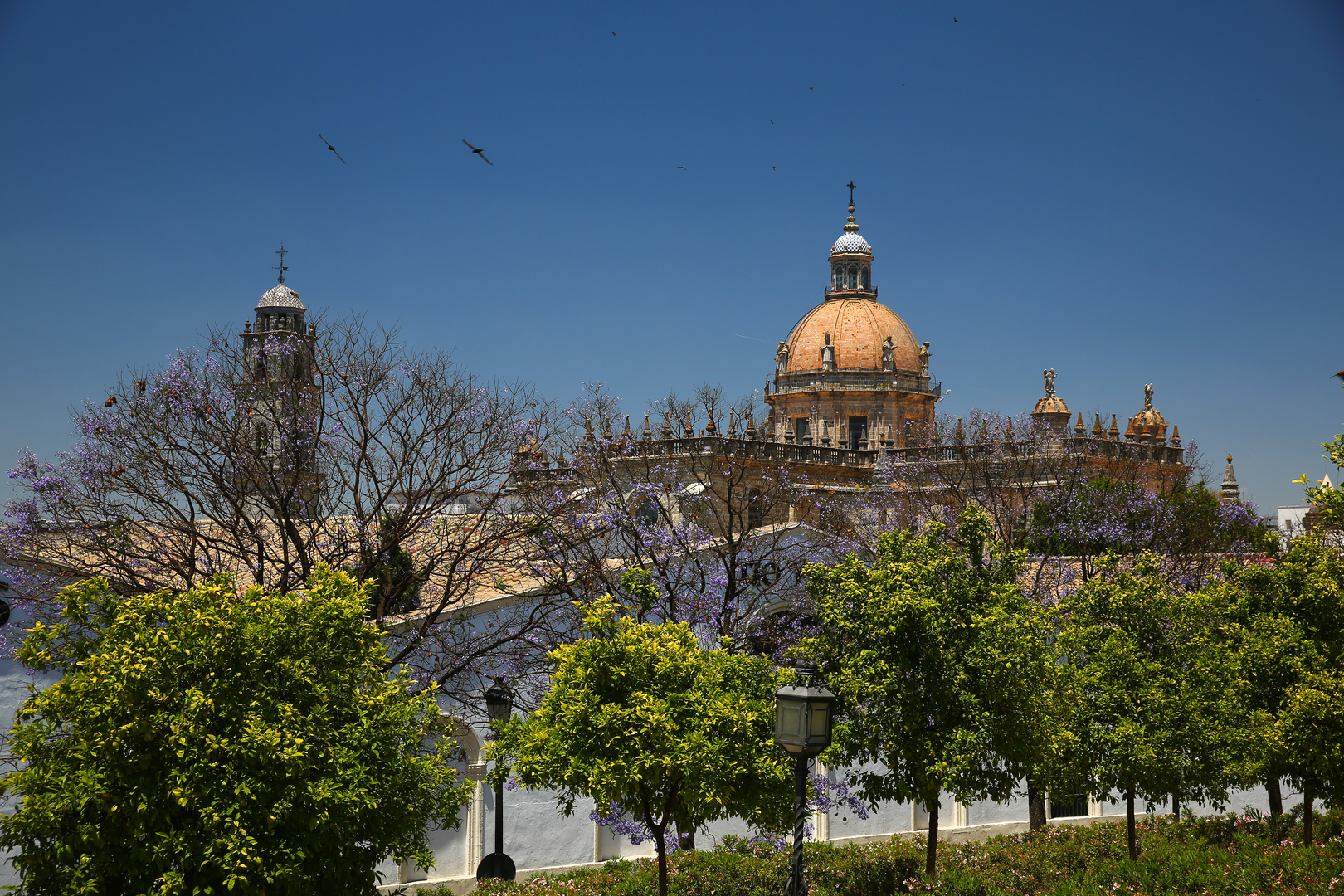 Jerez de la Frontera Kathedrale