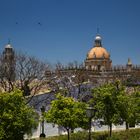 Jerez de la Frontera Kathedrale