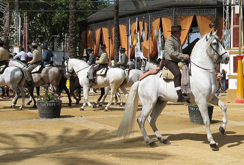 Jerez, Feria del Caballo 2007