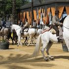 Jerez, Feria del Caballo 2007