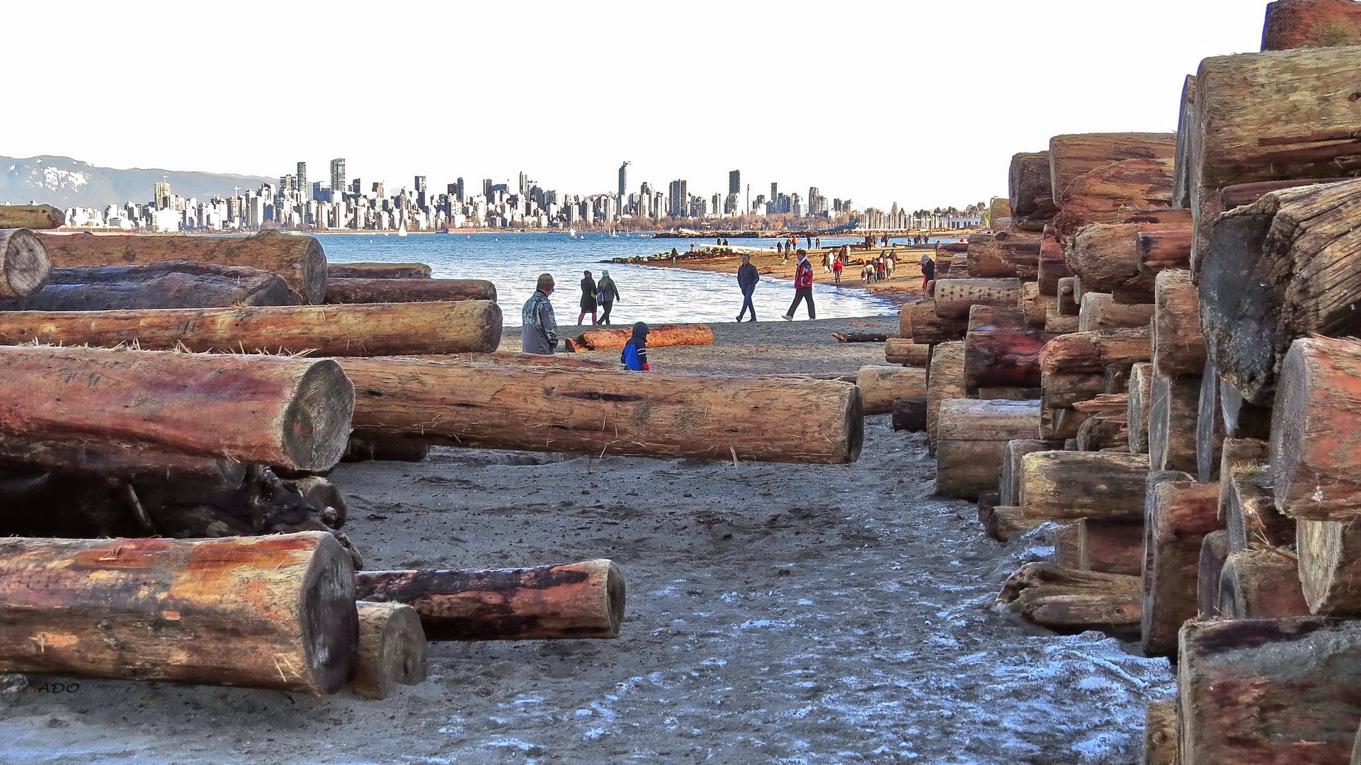 Jericho Beach City View 