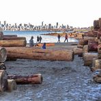 Jericho Beach City View 