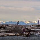 Jericho Beach Playground