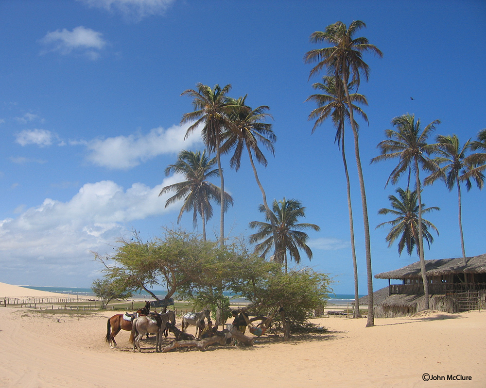 Jericoacoara Brazil