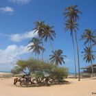 Jericoacoara Brazil