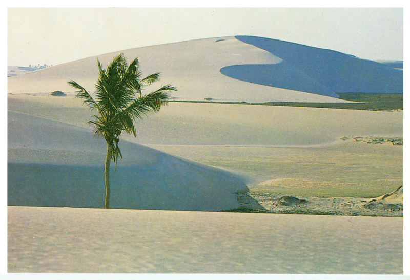 Jericoacoara - Ceara Wanderdüne