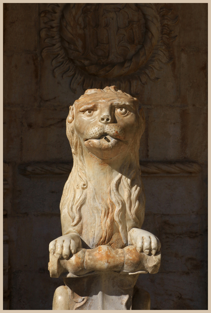 jeronimos 22