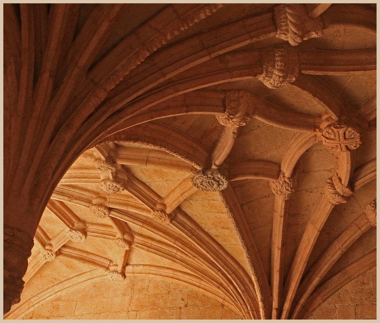 jeronimos 37