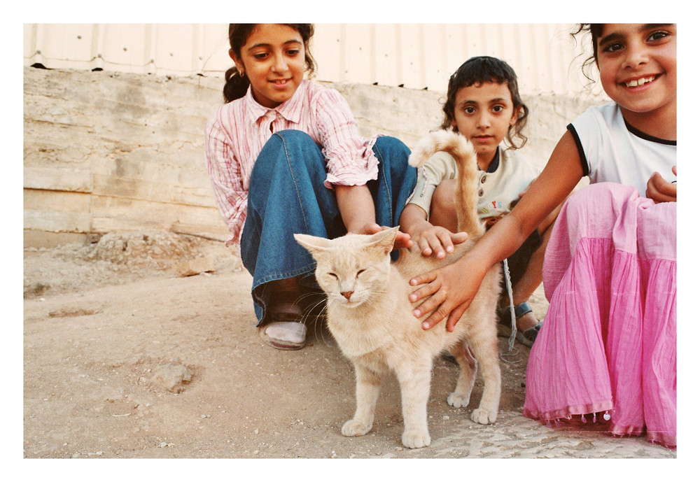 Jerusalem Cat_04