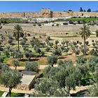 Jerusalem - Goldenes Tor