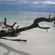 Jervis Bay - Australien