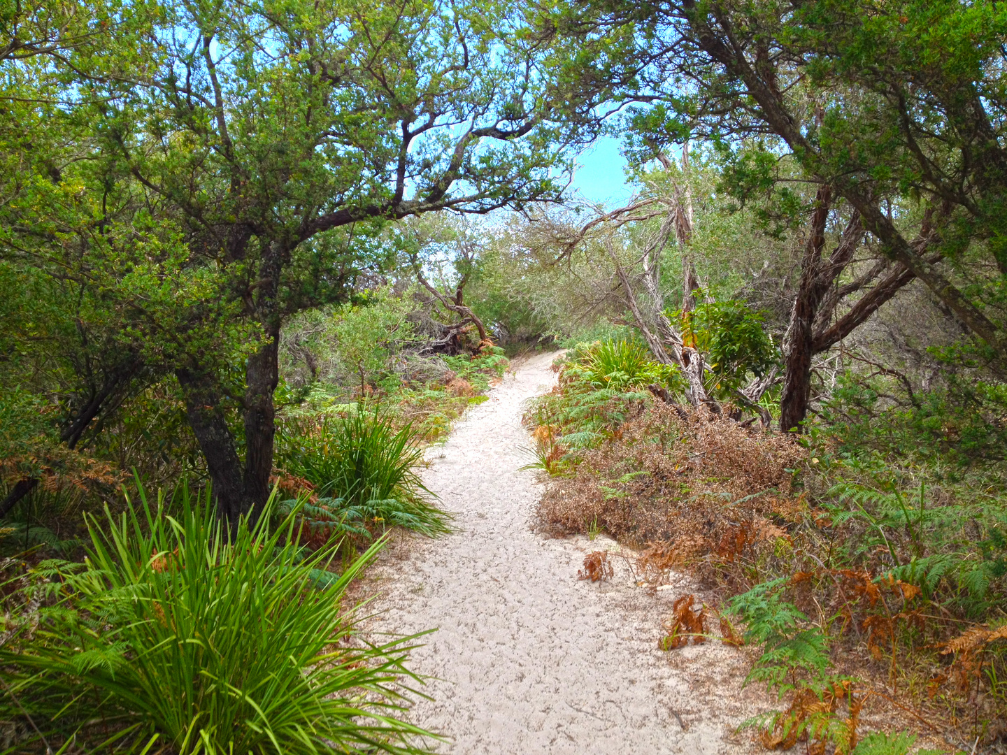 Jervis Bay Callala Beach NSW Australia