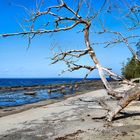 Jervis Bay