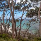 JervisBay_1