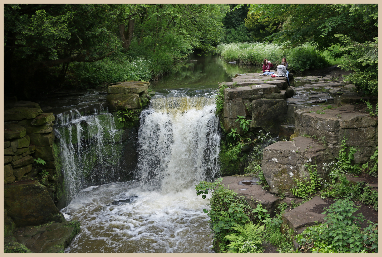 jesmond dene 4