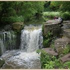 jesmond dene 4