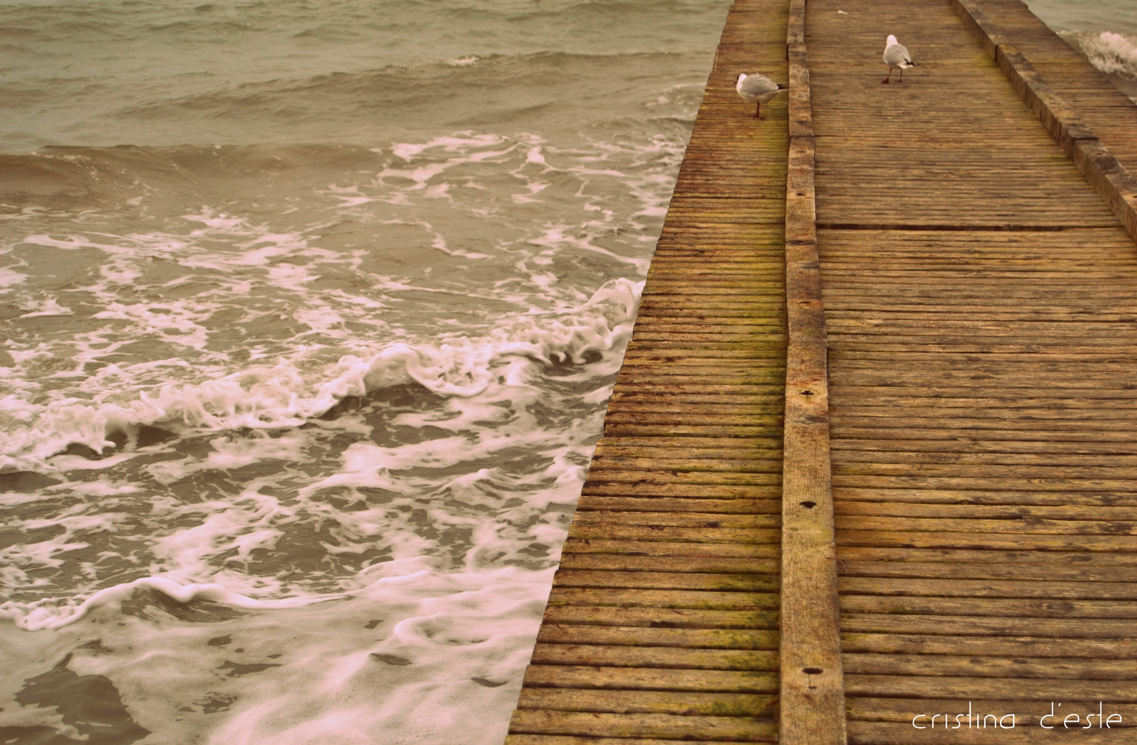 Jesolo invernale