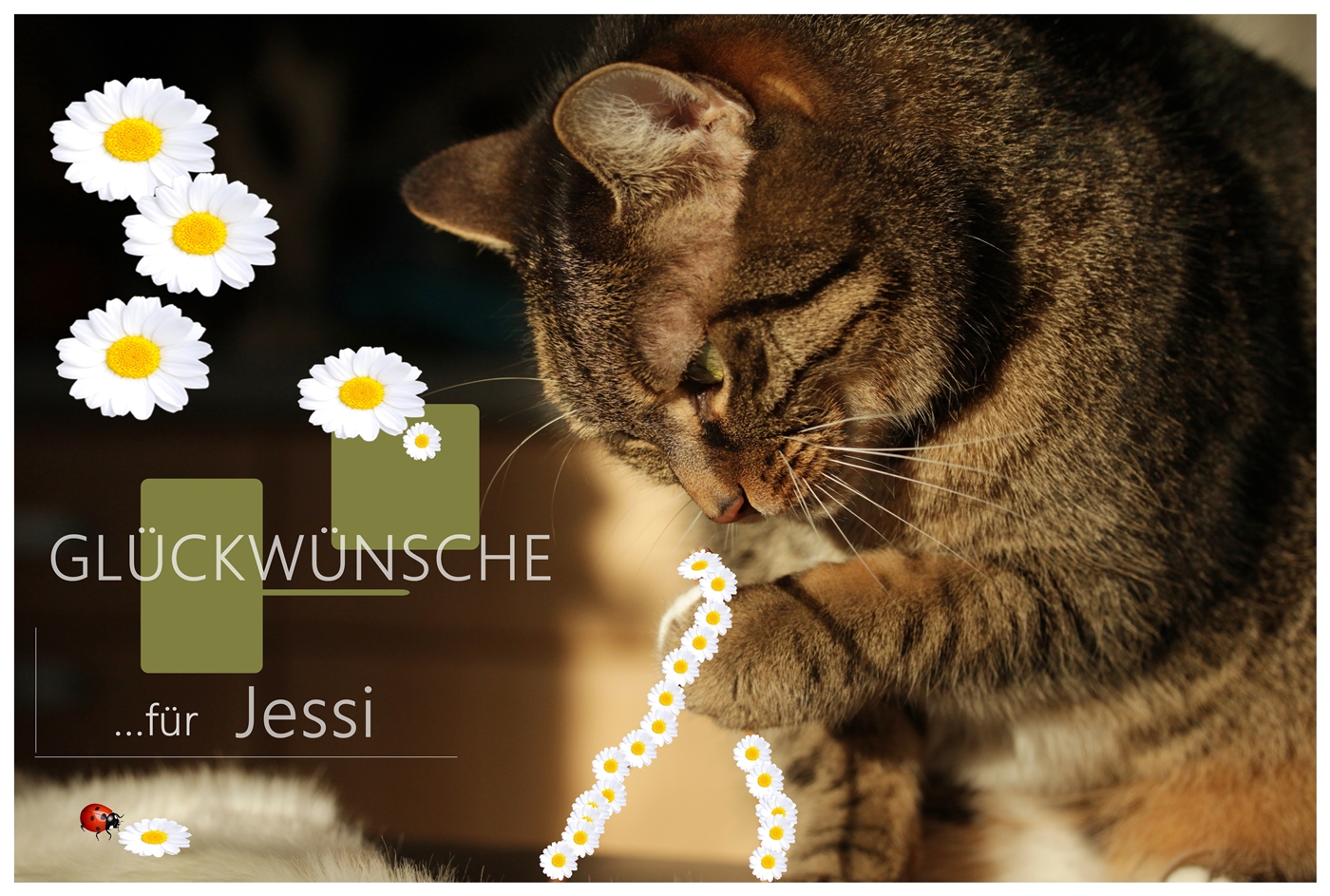 JESSI hat Geburtstag