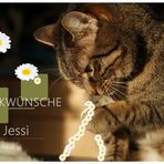 JESSI hat Geburtstag