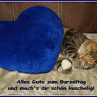 Jessi hat Geburtstag